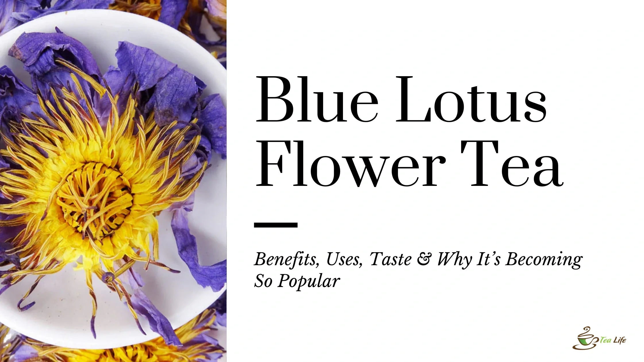 Blue Lotus Flower Tea: Benefits, Uses, Taste & Why It’s Becoming So Popular