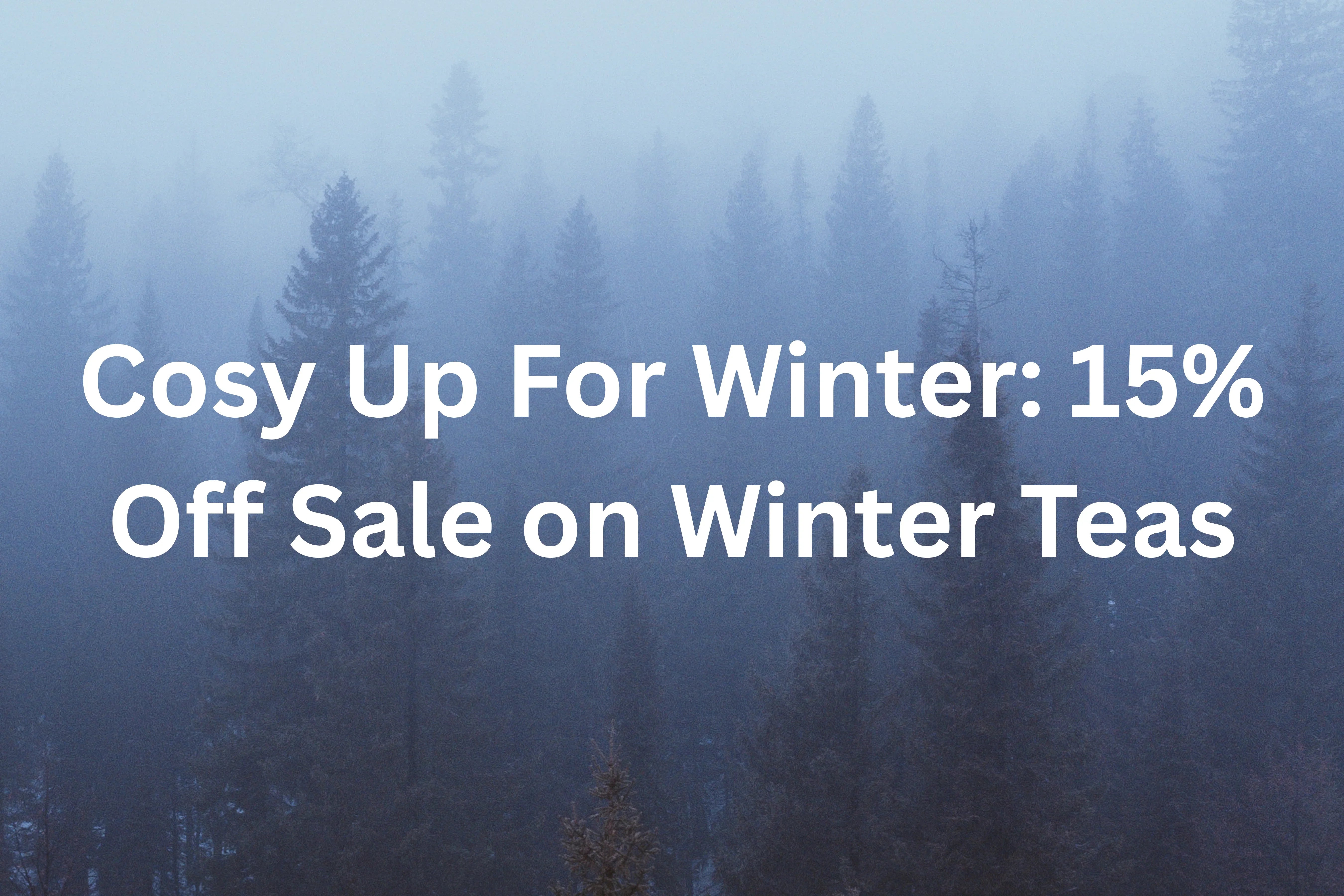 Cosy up for winter sale hero image offering 15% off winter teas