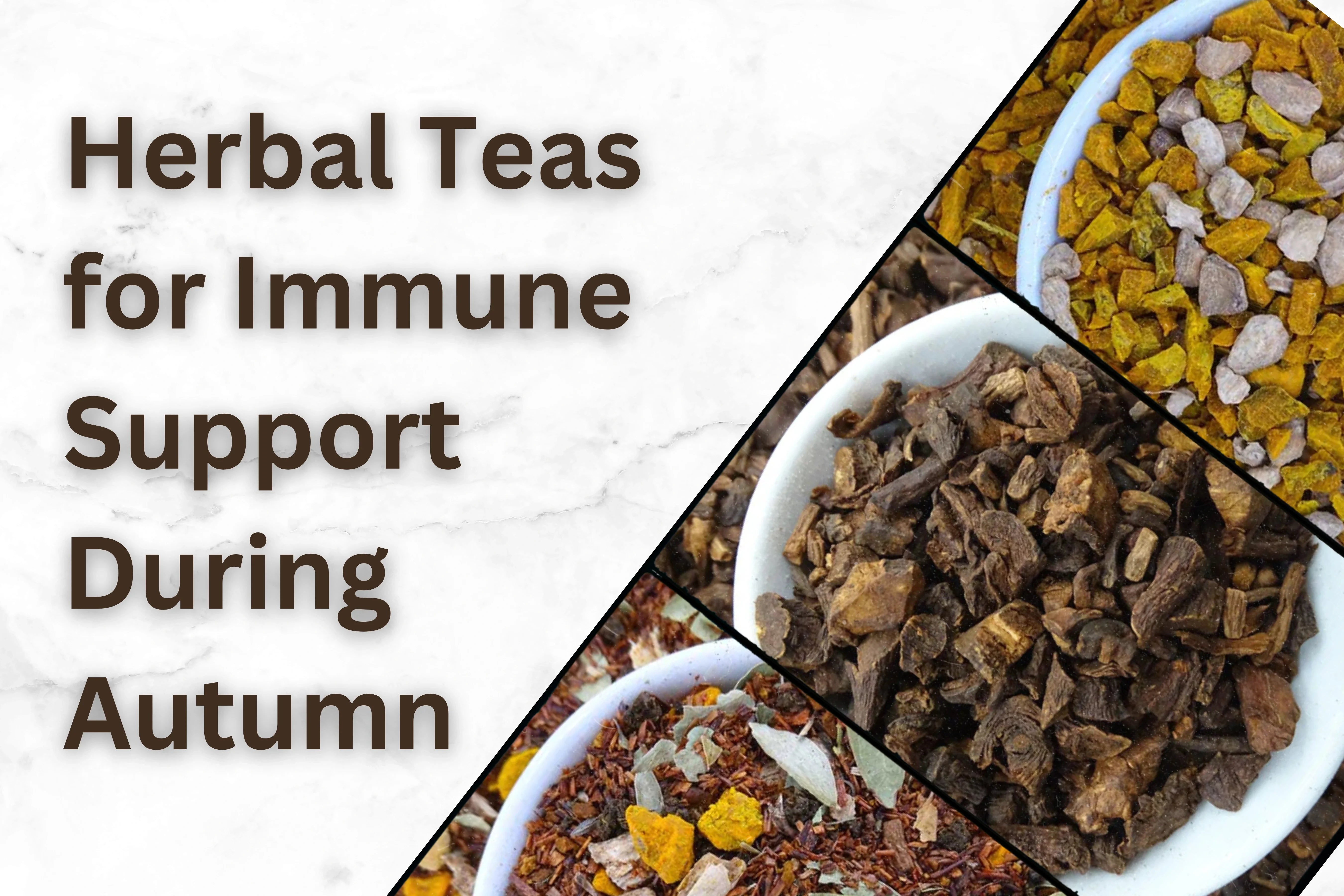 Herbal Teas for Immune Support During Autumn