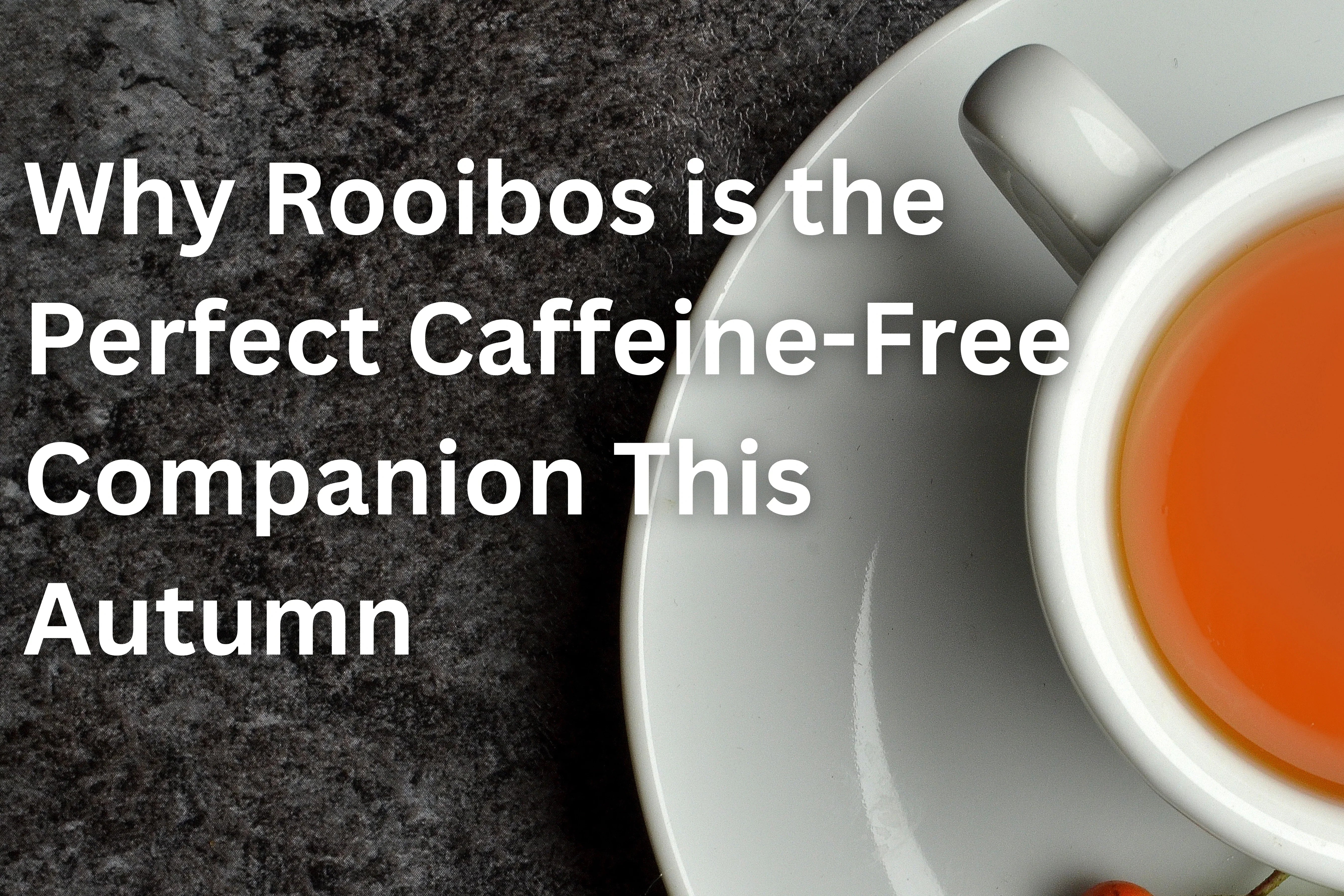 Rooibos as a caffeine-free autumn tea hero image showing a cup of rooibos tea sitting on a white saucer.