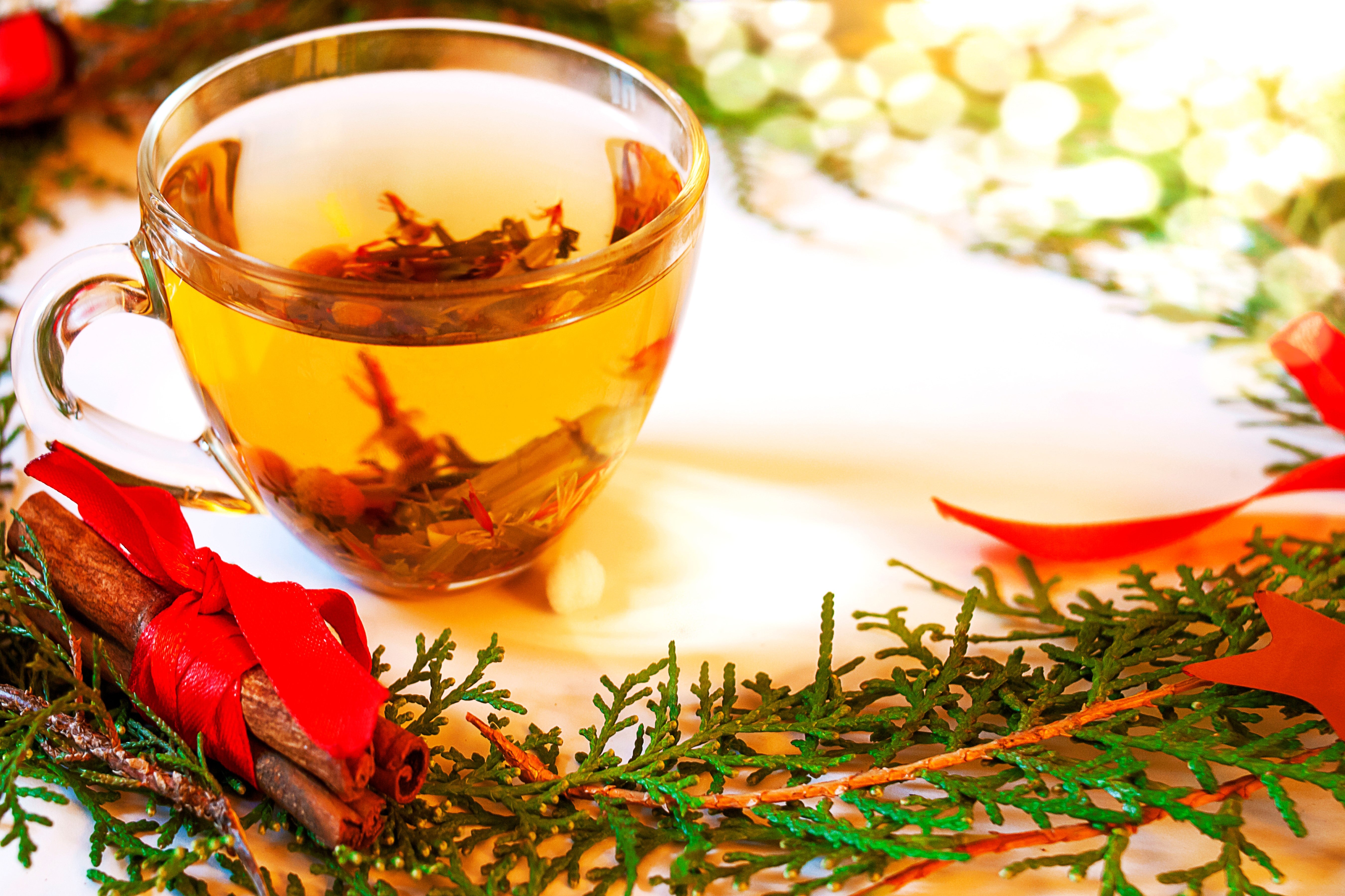 pine needle tea for Christmas