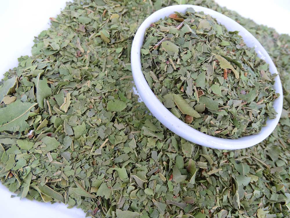 Aniseed Myrtle Tea - Herbal Tea - Anti-oxidants, Caffeine Free, General Health, Kogan, Native - Tea Lifeâ„¢