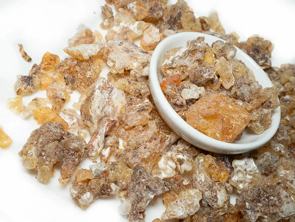 Boswellia Frereana Frankincense Tea