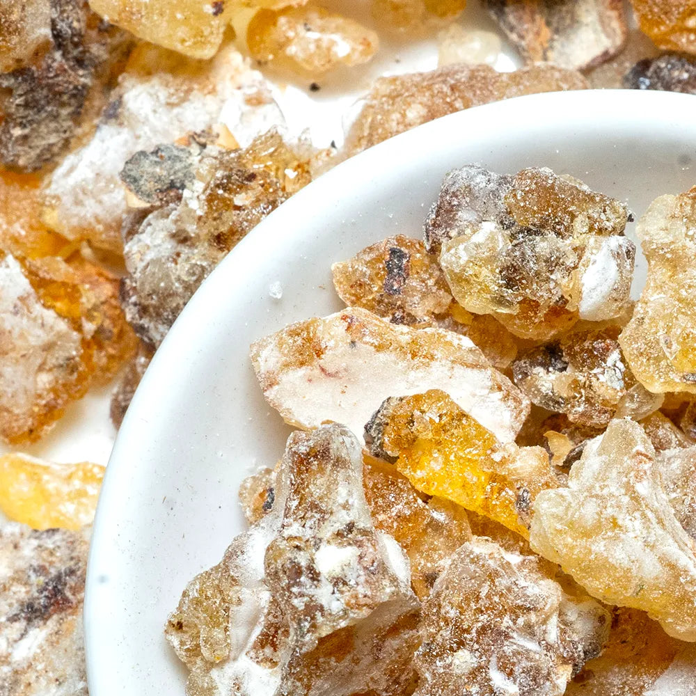Boswellia Frereana Frankincense Tea
