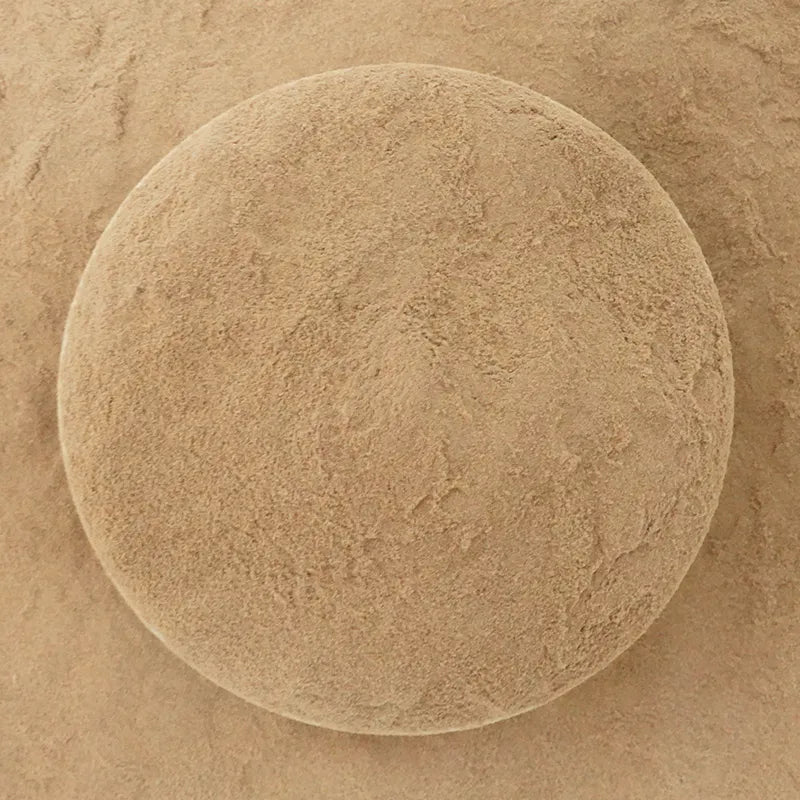 Cordyceps Militaris Mushroom Tea