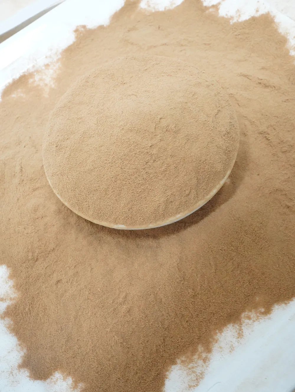 Cordyceps Militaris Mushroom Tea