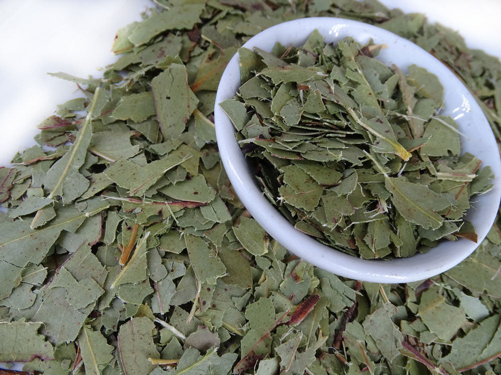 Eucalyptus Blue Gum Leaf Tea - Herbal Tea - Anti-inflammatory, Caffeine Free, Catch, Common Cold, General Health, Kogan, Native, Respiratory, spo-default, spo-disabled - Tea Lifeâ„¢
