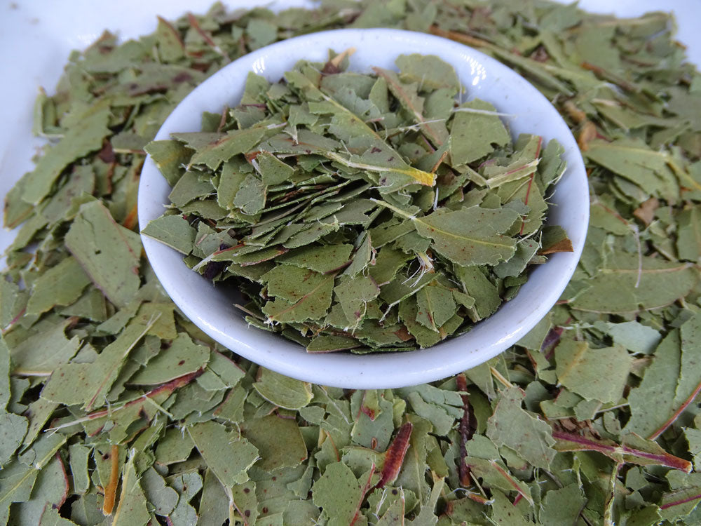 Eucalyptus Blue Gum Leaf Tea - Herbal Tea - Anti-inflammatory, Caffeine Free, Catch, Common Cold, General Health, Kogan, Native, Respiratory, spo-default, spo-disabled - Tea Lifeâ„¢