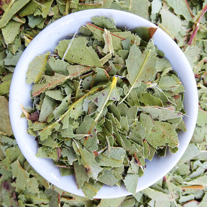 Eucalyptus Blue Gum Leaf Tea - Herbal Tea - Anti-inflammatory, Caffeine Free, Catch, Common Cold, General Health, Kogan, Native, Respiratory, spo-default, spo-disabled - Tea Lifeâ„¢