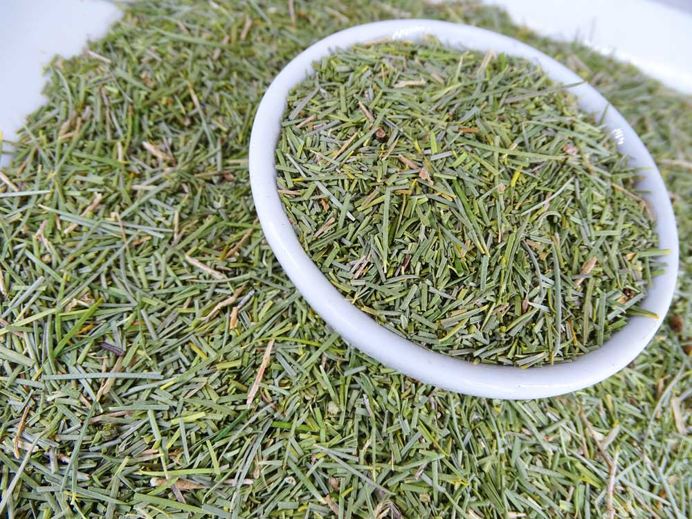 Honey Myrtle Native Tea - - Anti-inflammatory, Caffeine Free, Catch, Immune System, Kogan, Native, Respiratory, Skin Cleansing, spo-default, spo-disabled - Tea Life™