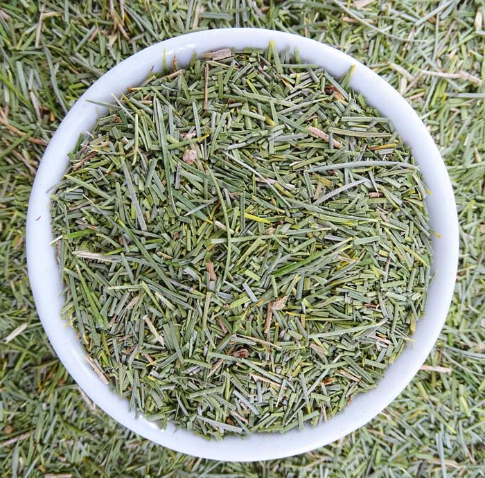 Honey Myrtle Native Tea - - Anti-inflammatory, Caffeine Free, Catch, Immune System, Kogan, Native, Respiratory, Skin Cleansing, spo-default, spo-disabled - Tea Life™