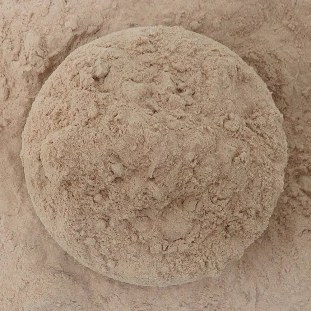 Lions Mane Mushoom Tea