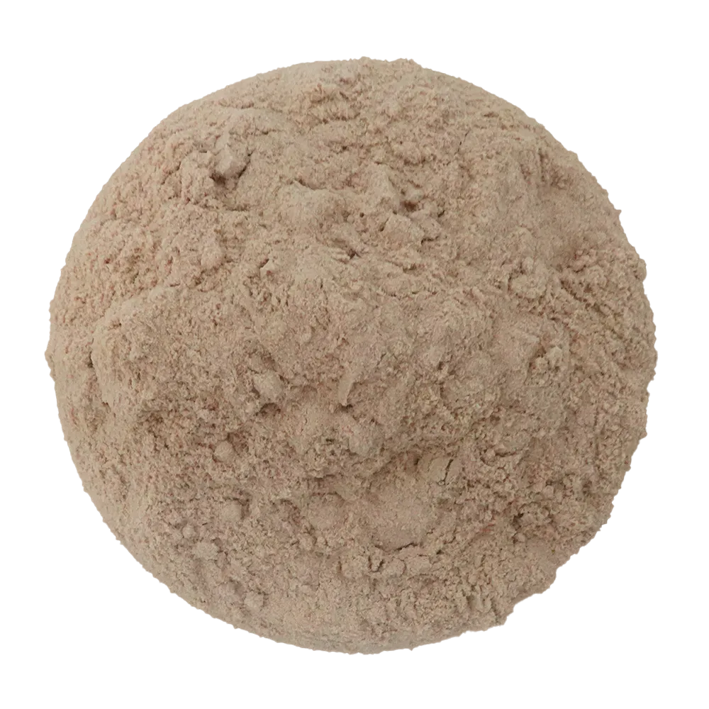 Lions Mane Mushoom Tea