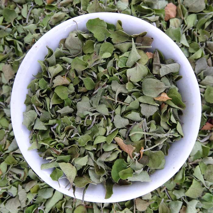 Round Leaf Mint Native Tea - - Anti-inflammatory, Caffeine Free, Catch, Digestion, Headache, Kogan, Native, spo-default, spo-disabled - Tea Lifeâ„¢