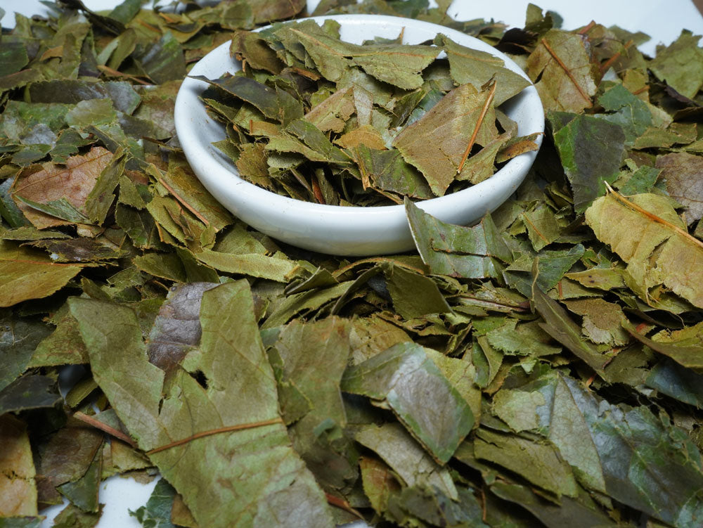 Soursop Leaf Tea