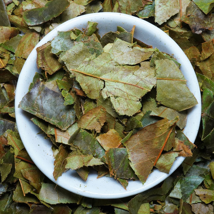 Soursop Leaf Tea