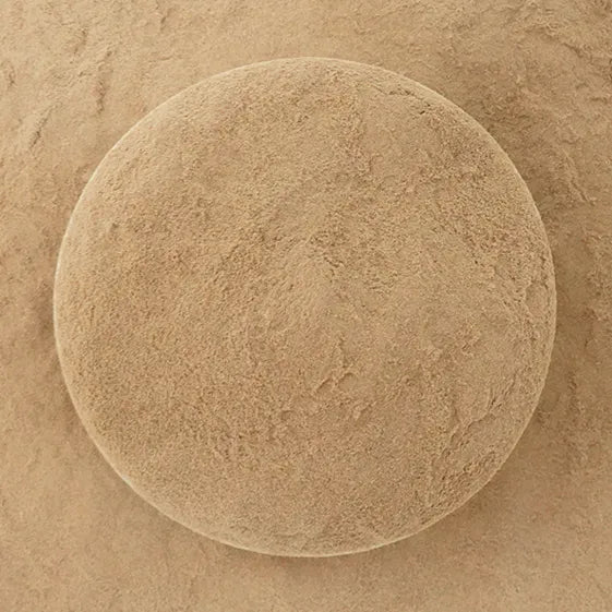 Turkey Tail Mushroom Tea