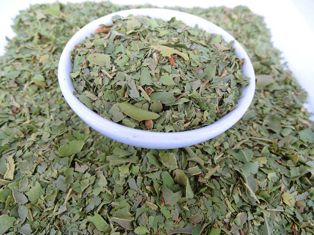Aniseed Myrtle Tea - Herbal Tea - Anti-oxidants, Caffeine Free, General Health, Kogan, Native - Tea Life™