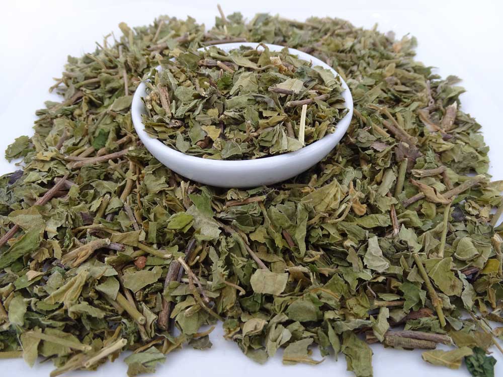 Gymnema Sylvestre Tea - Herbal Tea - Anti-inflammatory, Caffeine Free, Catch, Diabetes, Kogan, spo-default, spo-disabled - Tea Life™