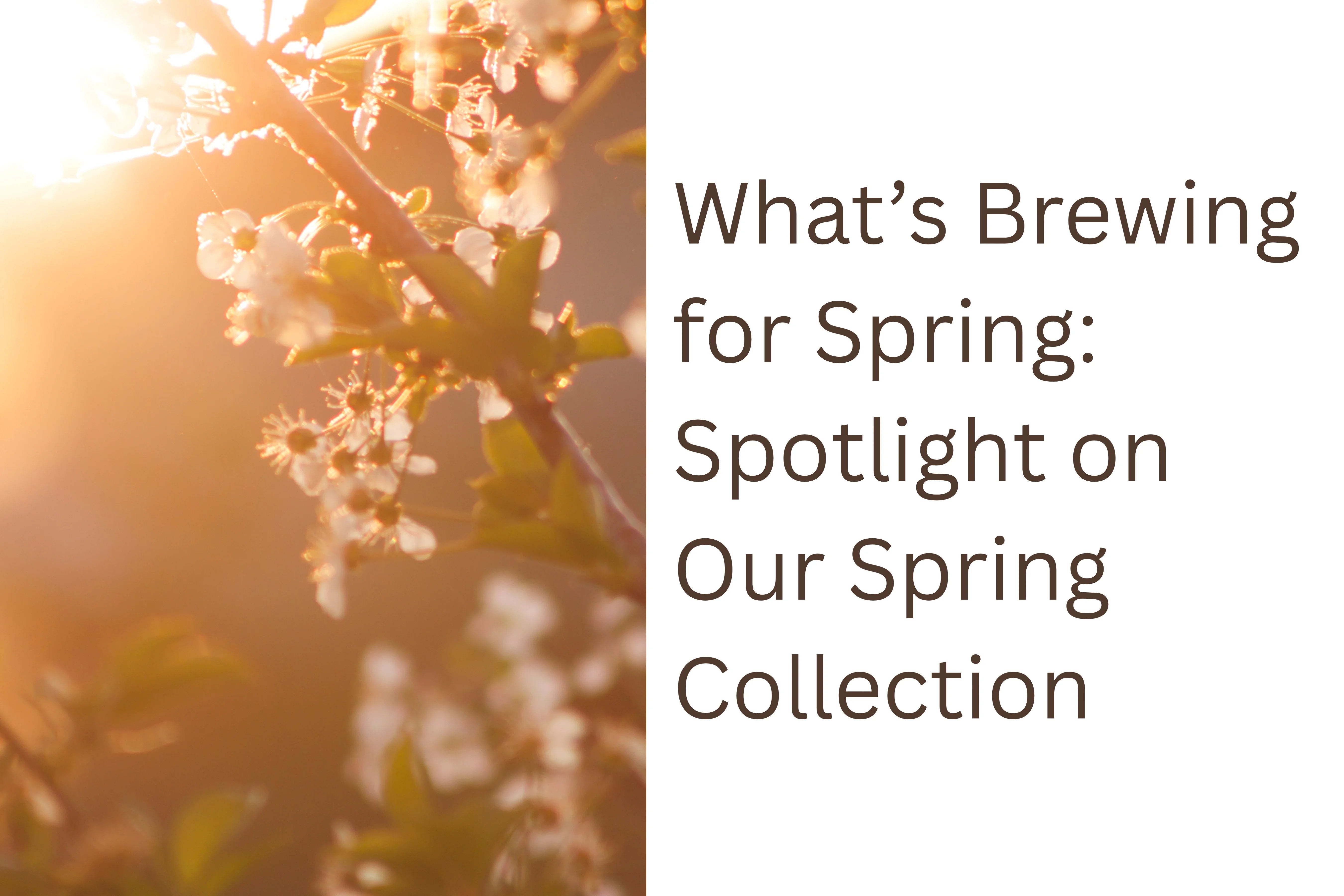 What's Brewing for Spring? Hero image featuring cherry blossom branches with sunlight bursting through them.