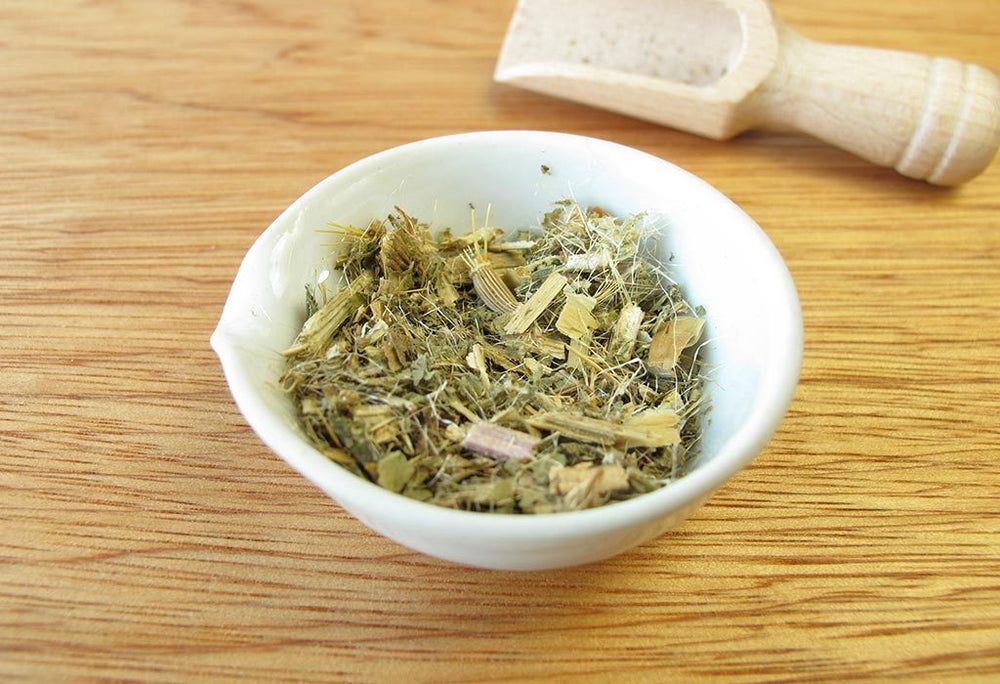 Blessed Thistle Tea - Ancient, Traditional, Modern Benefits – Tea Life