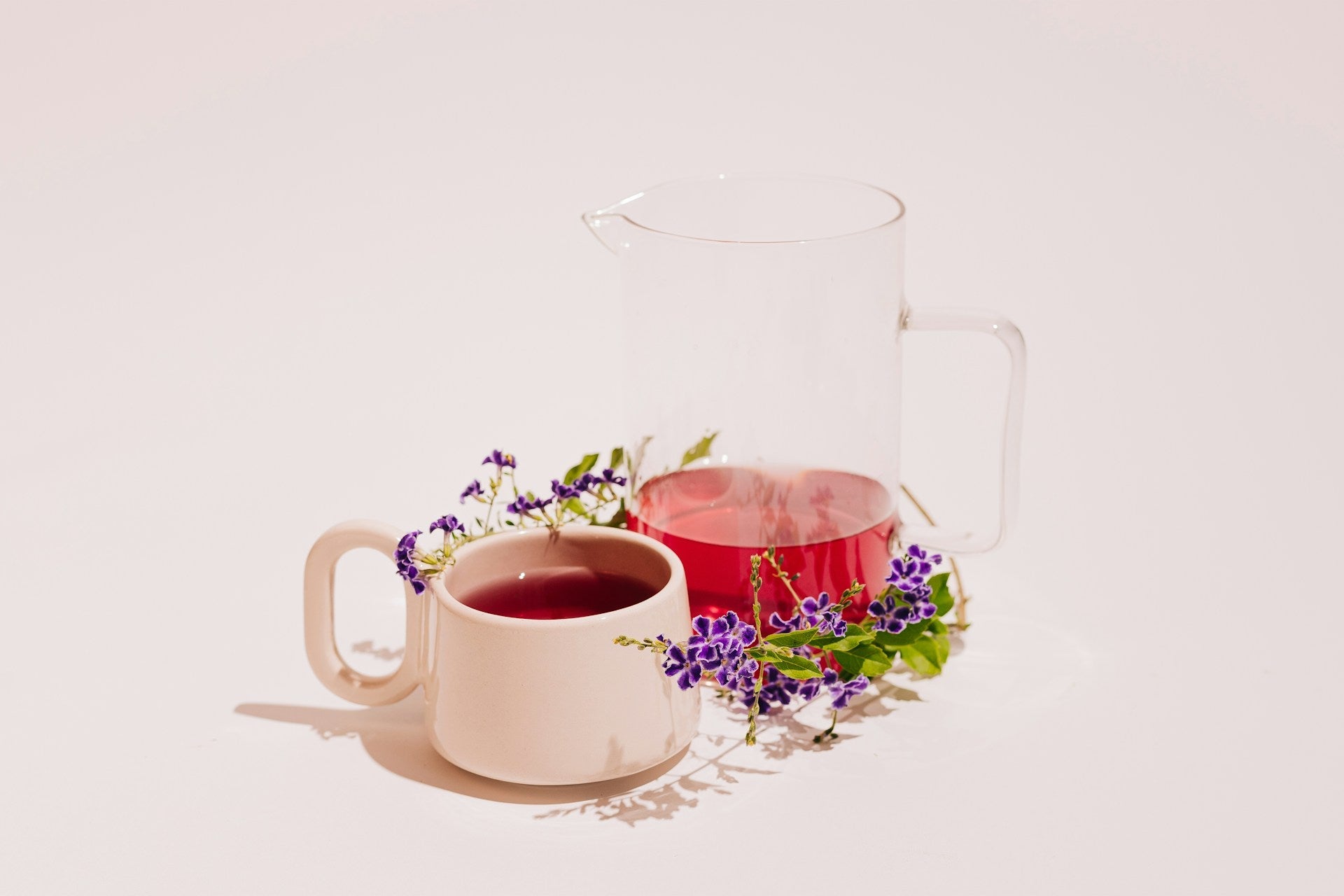 Butterfly Pea Flower Tea Benefits and Colour Change - Tea Life