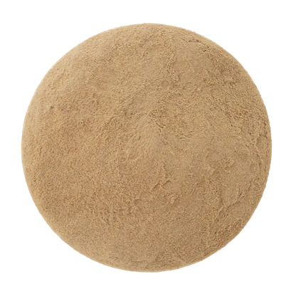 Cordyceps Militaris Mushroom Tea