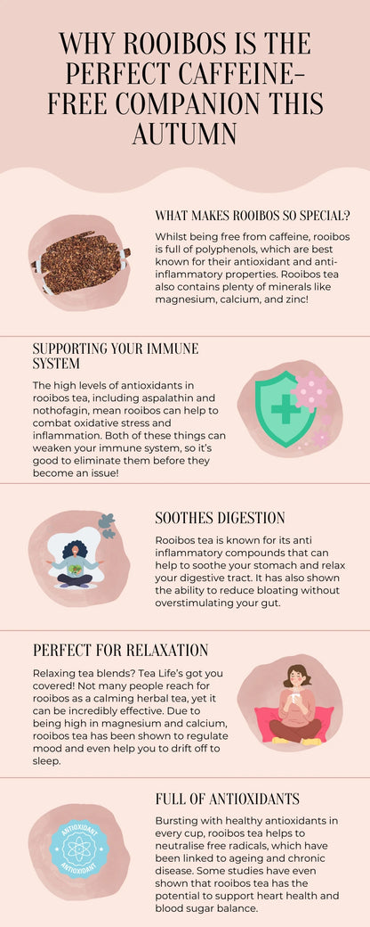 Infographic about rooibos tea as a caffeine-free option for autumn.