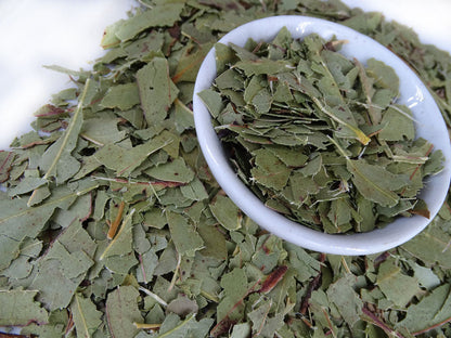 Eucalyptus Blue Gum Leaf Tea - Herbal Tea - Anti-inflammatory, Caffeine Free, Catch, Common Cold, General Health, Kogan, Native, Respiratory, spo-default, spo-disabled - Tea Lifeâ„¢