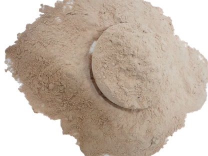 Lions Mane Mushoom Tea