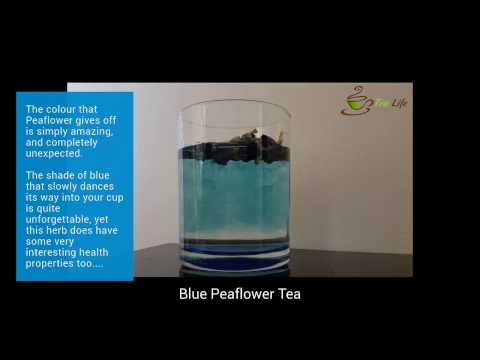 Blue Butterfly Peaflower Tea