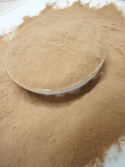 Turkey Tail Mushroom Tea