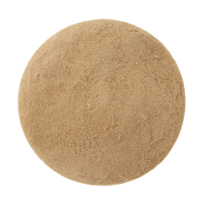 Turkey Tail Mushroom Tea