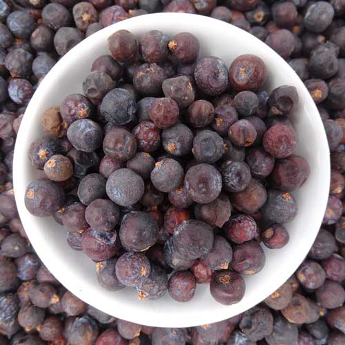 Juniper Berry Tea | Tea Life | Organic Loose Leaf Tea