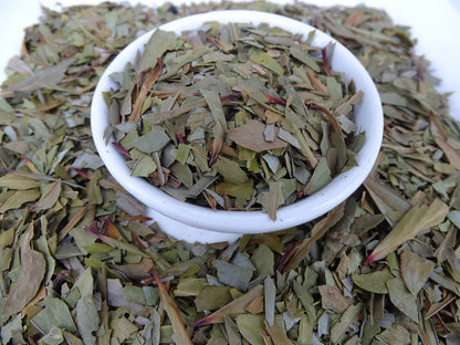 Mountain Pepper Berry Leaf Tea - Herbal Tea - Caffeine Free, Catch, Native, spo-default, spo-disabled - Tea Life™